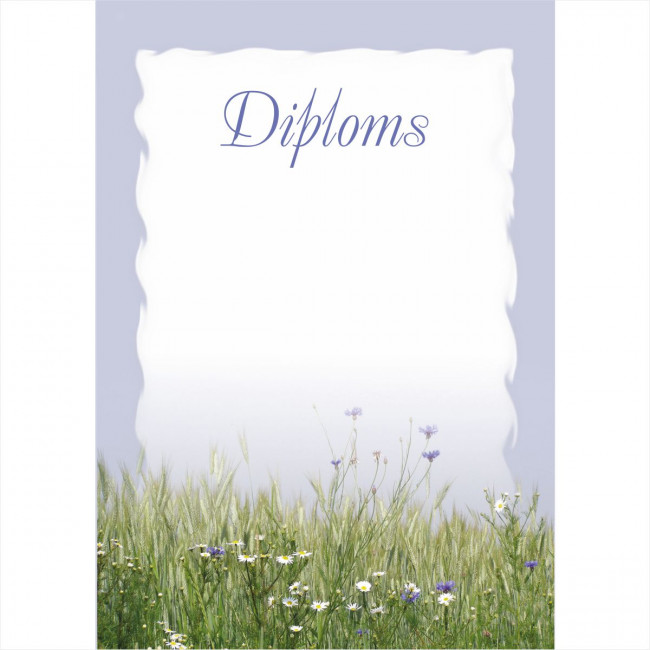 Diploms D-014